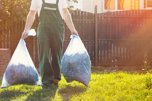 Best Local Junk Hauling  in Wliamsvle, IL
