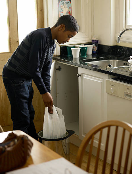 Best Electronics Removal Services  in Wliamsvle, IL
